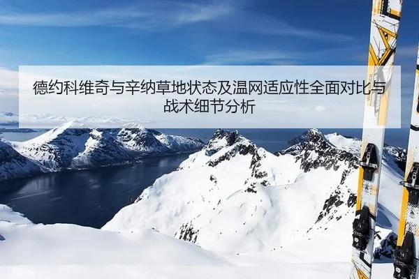 de-yue-ke-wei-qi-yu-xin-na-cao-di-zhuang-tai-ji-wen-wang-shi-ying-xing-quan-mian-dui-bi-yu-zhan-shu-xi-jie-fen-xi-2-619.jpg